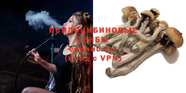 дмт Аркадак