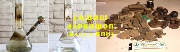 гидра Арсеньев