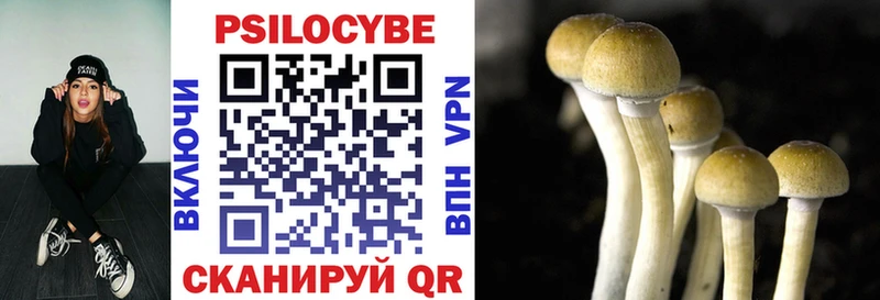 Псилоцибиновые грибы прущие грибы  mega ССЫЛКА  Белово  купить наркотик 